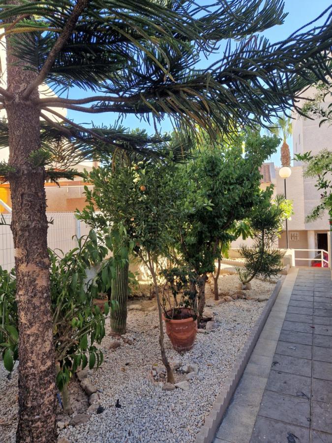 Magnifico Chalet Adosado En Torrevieja, Alicante. Екстериор снимка
